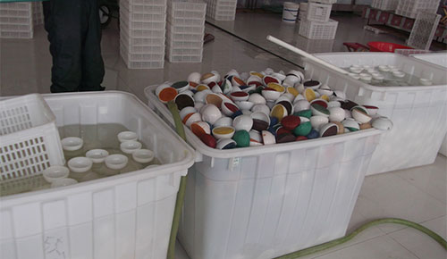 Cotton Workshop