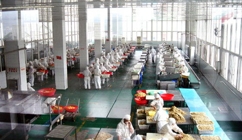 Food Workshop