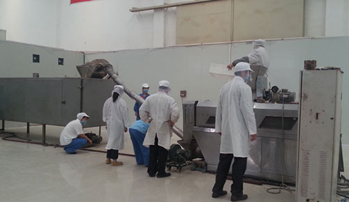 slicing workshop
